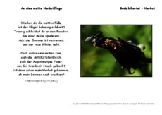 An-eine-matte-Herbstfliege-Grillparzer.pdf